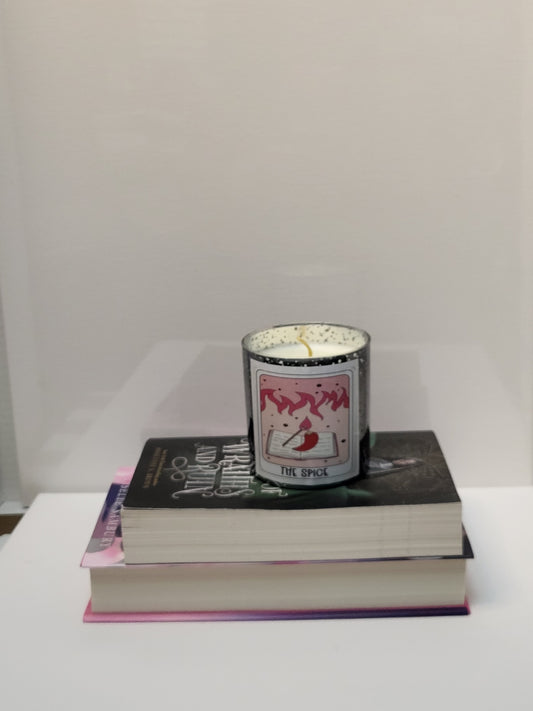 Book lovers candle